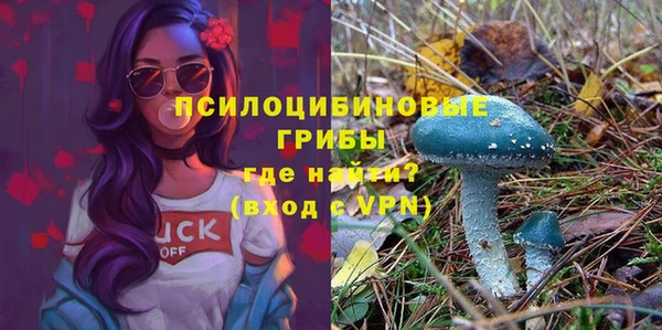 дурь Медвежьегорск