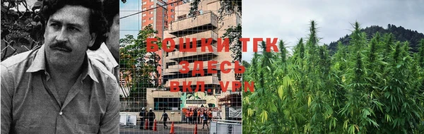 дурь Медвежьегорск