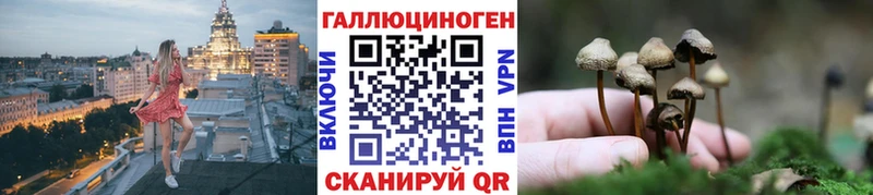 Галлюциногенные грибы Psilocybine cubensis  Орлов 